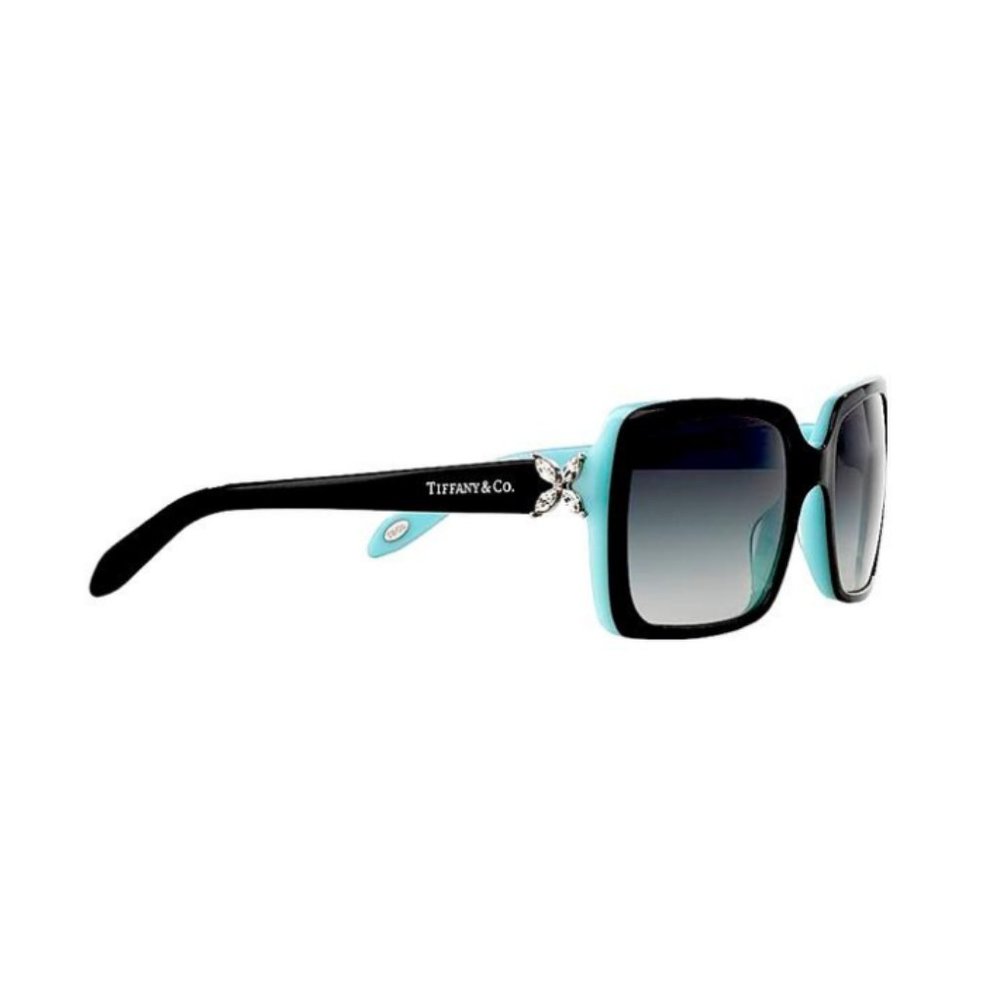 AUTHENTIC TIFFANY & CO. Sunglasses Black NWT